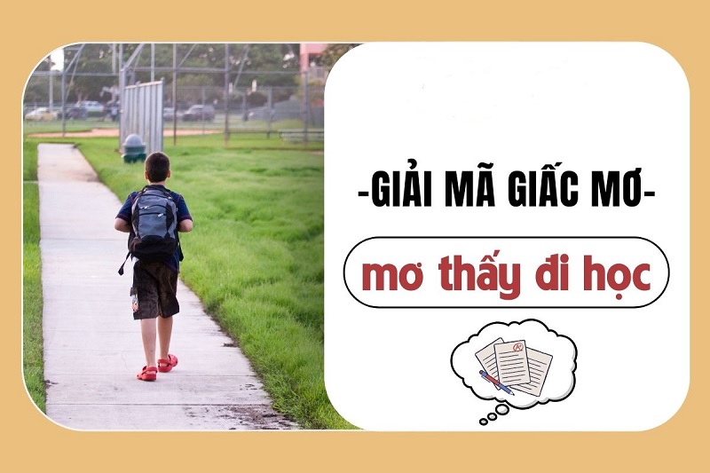 Lý giải ý nghĩa mơ đi học đánh con gì chuẩn xác 8 Mơ đi học đánh con gì có độ chuẩn xác cao nhất?